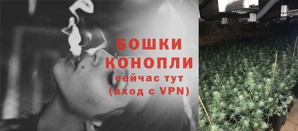 марихуана Белокуриха