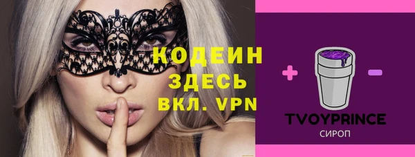хмурый Ельня