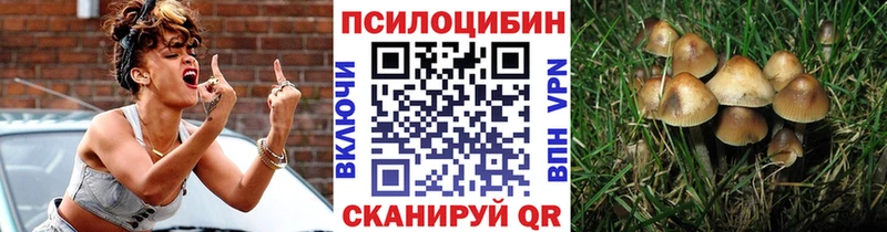 blacksprut зеркало  маркетплейс наркотические препараты  Псилоцибиновые грибы Psilocybine cubensis  Заринск 
